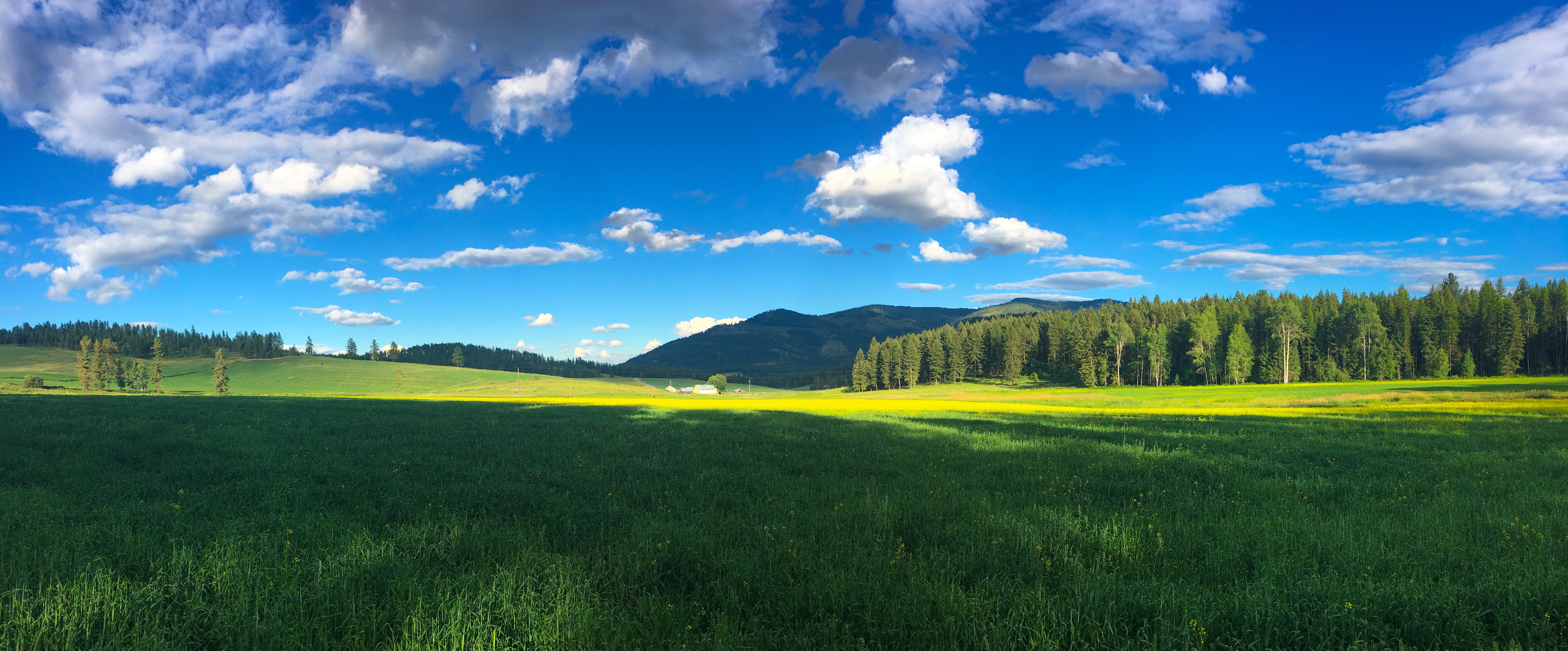 Panoramic view of Huckleberry View Farms in the Selkirk Mountains