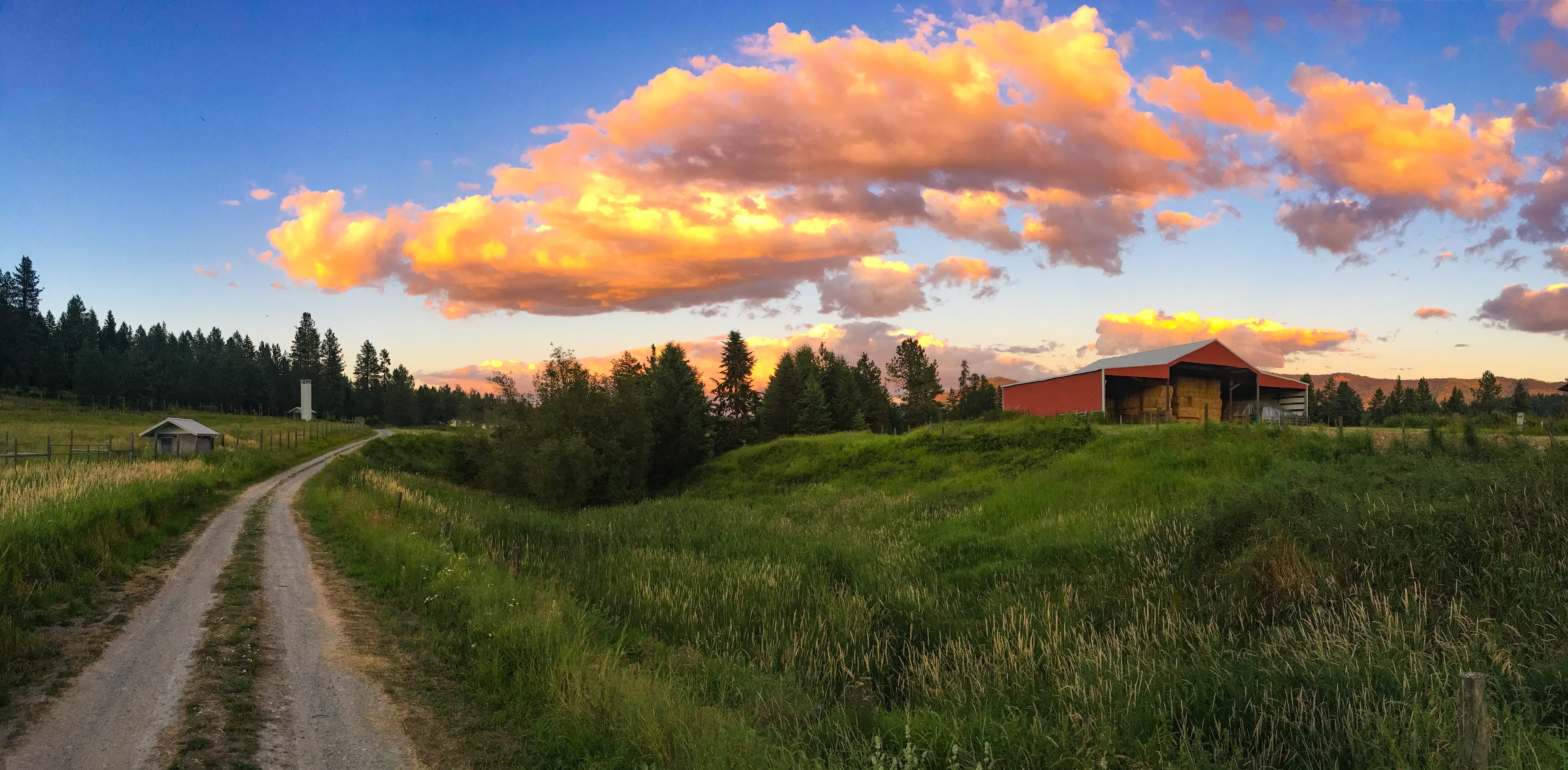 The Allen family homestead at Huckleberry View Farms